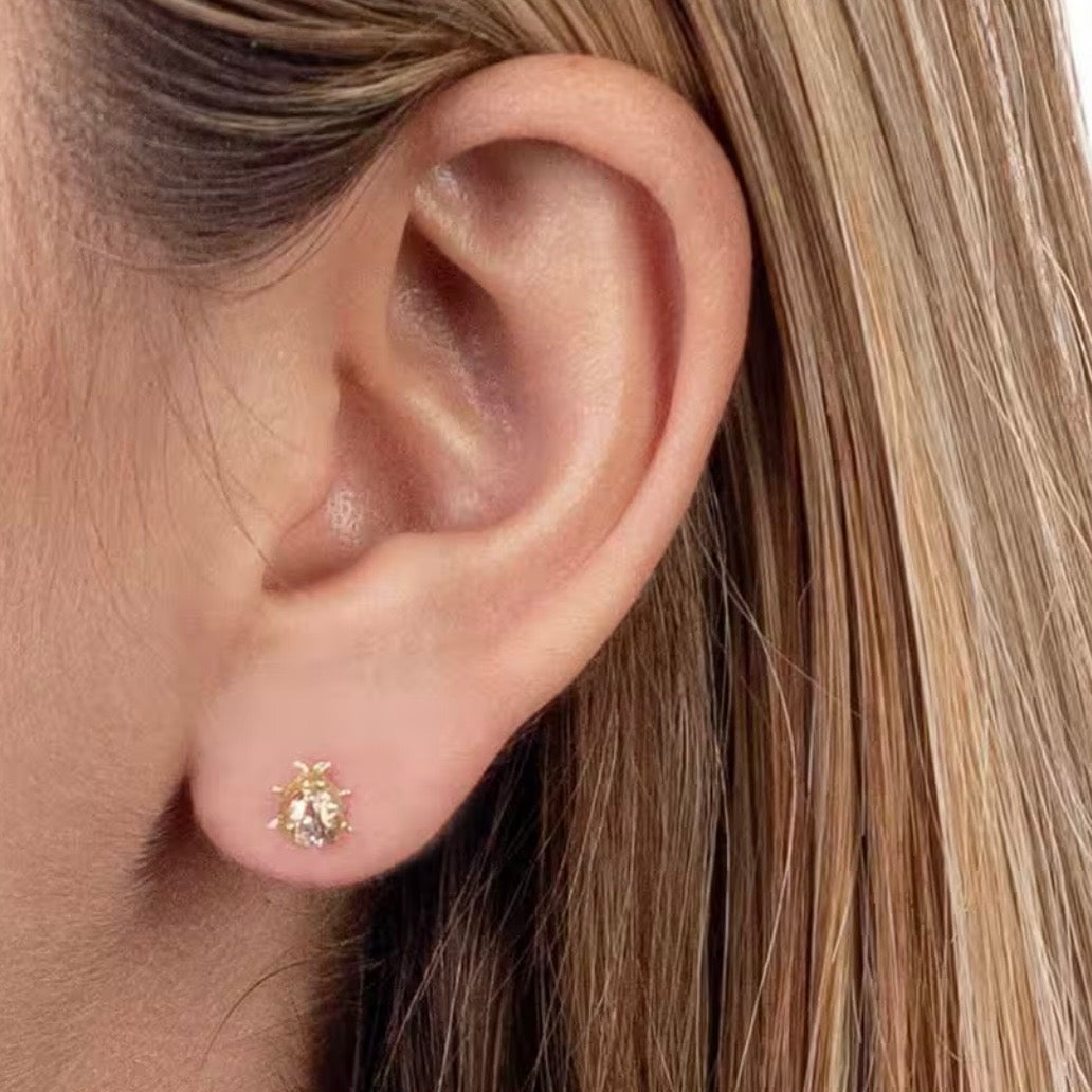 Aretes Catarina