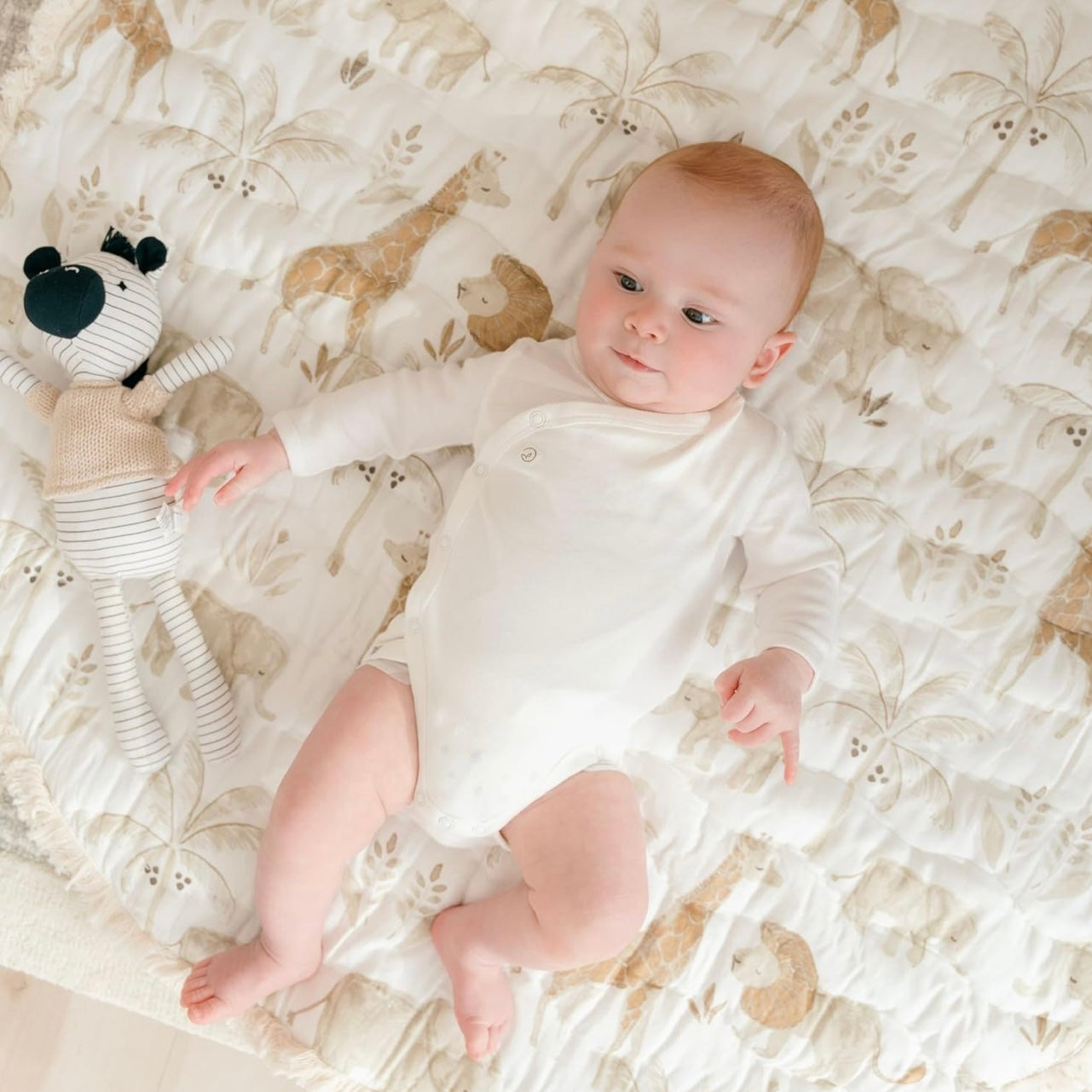 Amigos Animales Silvestres de Peluche