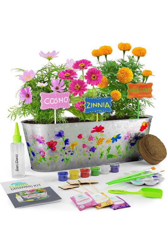 Set Para Cultivo De Flores