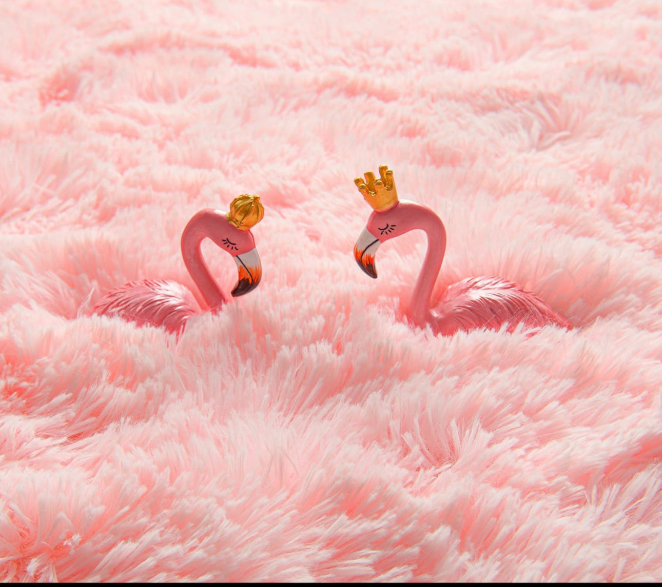 Casita De Campaña De Princesa